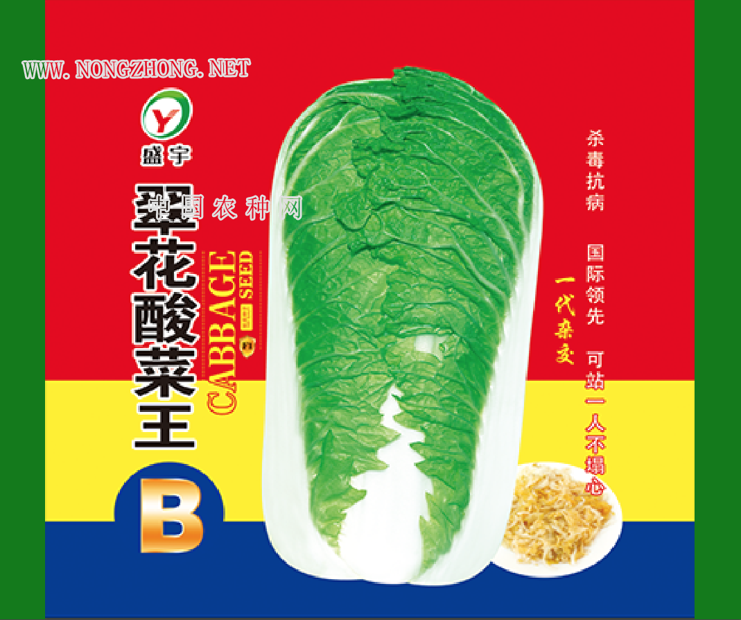 翠花酸菜王B